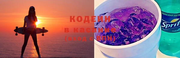 сатива Арсеньев