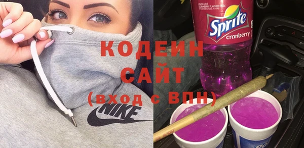 сатива Арсеньев