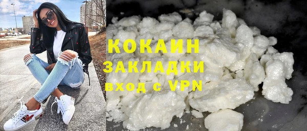 сатива Арсеньев