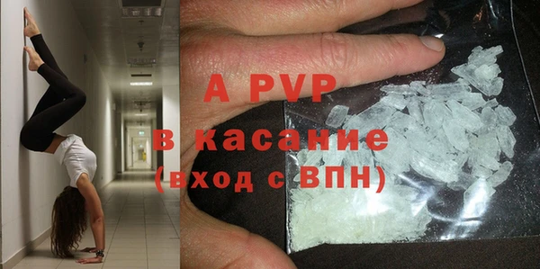 сатива Арсеньев