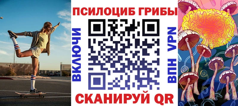 блэк спрут маркетплейс  Пыталово  это состав  Галлюциногенные грибы Cubensis 